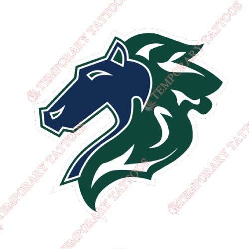 Charlotte Knights Customize Temporary Tattoos Stickers NO.7952